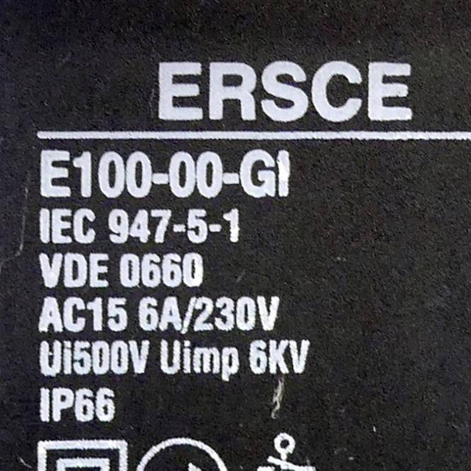 ERSCE Endschalter IEC 947-5-1 (E100-00-GI)