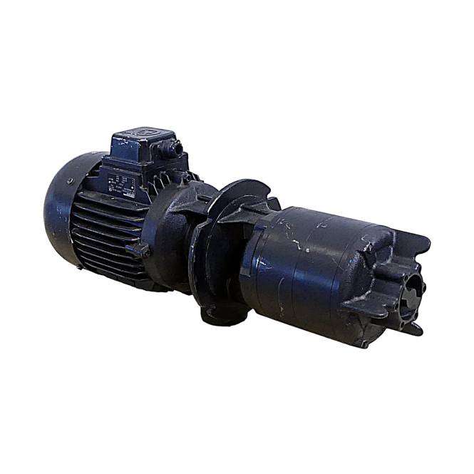 BRINKMANN PUMPS Tauchpumpe TAL303/240+001 (R0506801382)