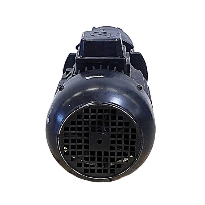 BRINKMANN PUMPS Tauchpumpe TAL303/240+001 (R0506801382)