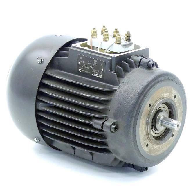 BRINKMANN PUMPS Drehstrommotor TC 63/560 (TC 63/560)