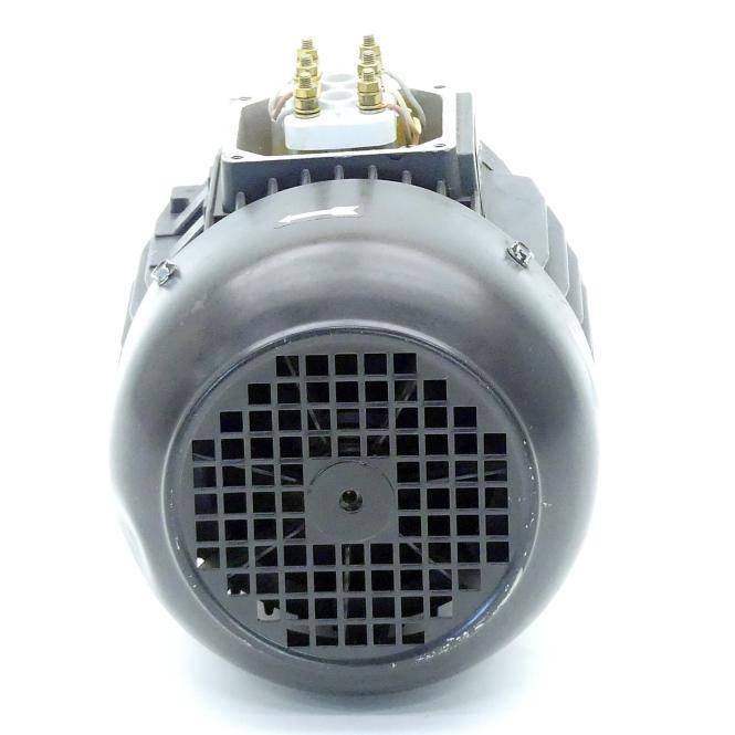 BRINKMANN PUMPS Drehstrommotor TC 63/560 (TC 63/560)