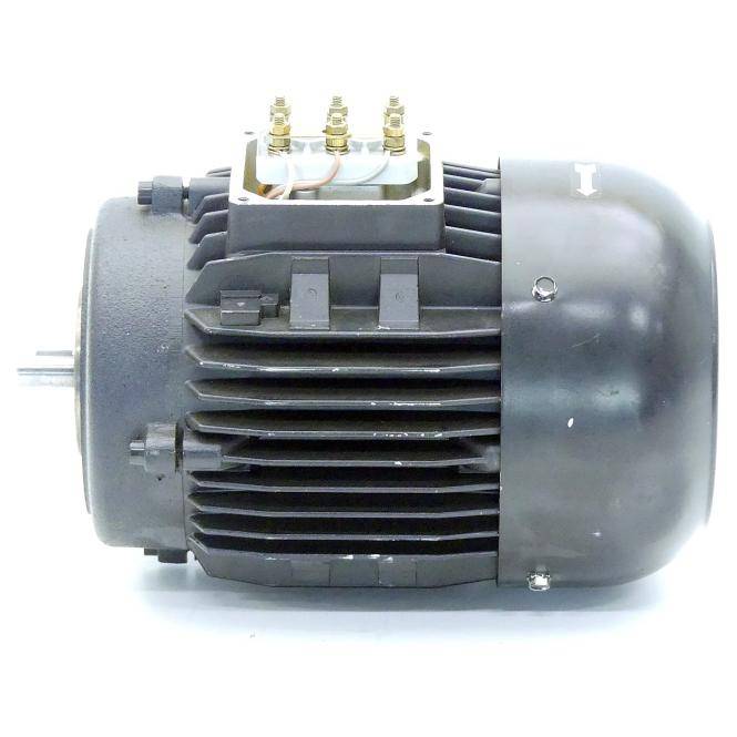 BRINKMANN PUMPS Drehstrommotor TC 63/560 (TC 63/560)