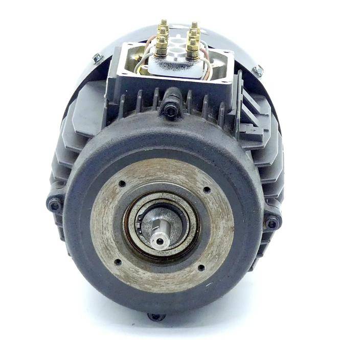 BRINKMANN PUMPS Drehstrommotor TC 63/560 (TC 63/560)
