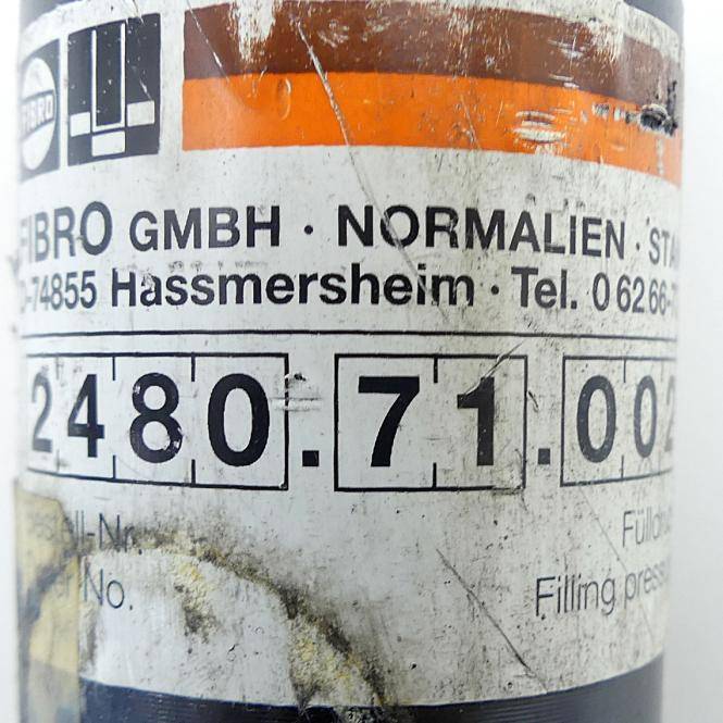 FIBRO Gasdruckfeder (2480.71.00250.025)