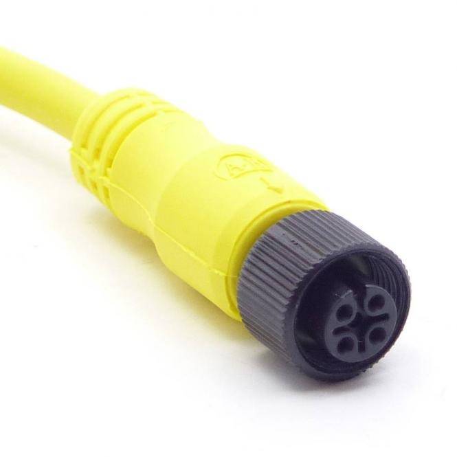 Allen-Bradley Kabel (889D-F4ACDM-1)