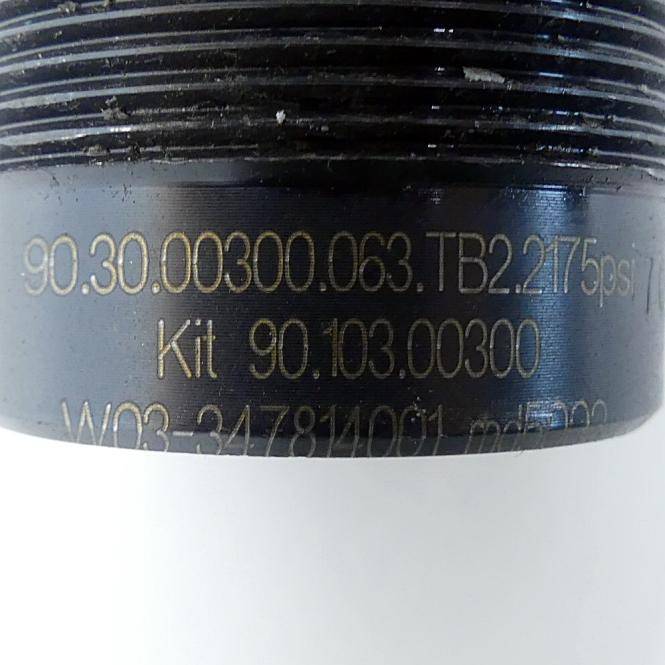 DADCO Gasdruckfeder (90.30.00300.063.TB2.2175)