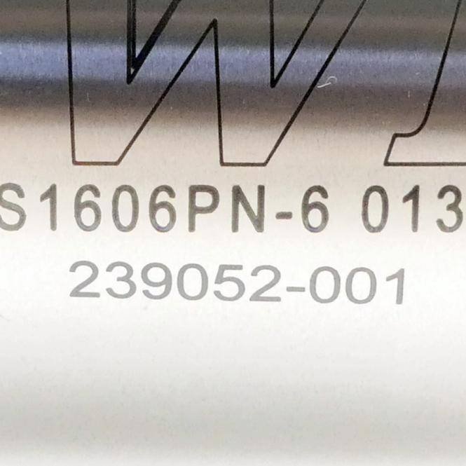 HIWIN Kugelgewindetrieb (S1606PN-6 239052-001)