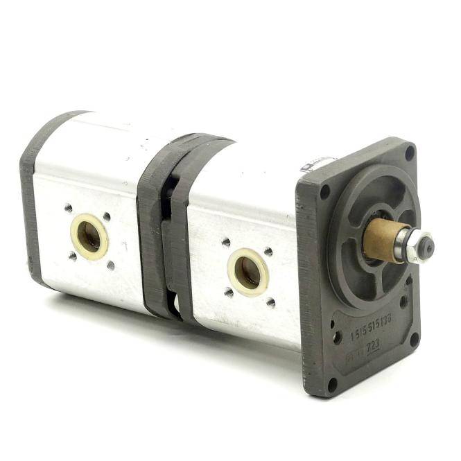 Bosch Zahnradpumpe / Doppelpumpe (0510769011)