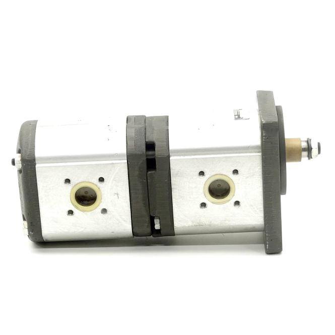 Bosch Zahnradpumpe / Doppelpumpe (0510769011)