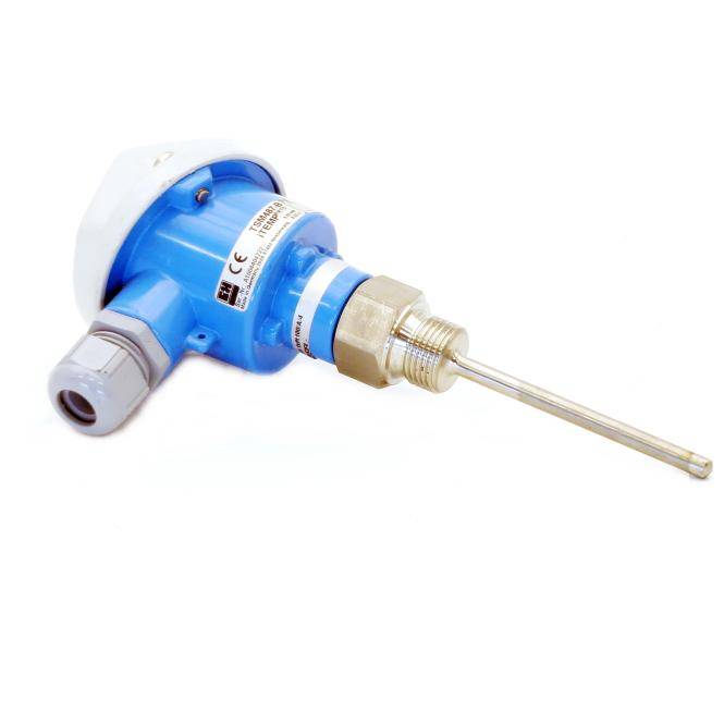 Endress+Hauser RTD Thermometer TSM487-B (TST487-1A2B)