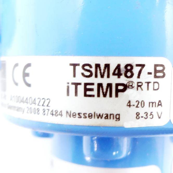 Endress+Hauser RTD Thermometer TSM487-B (TST487-1A2B)