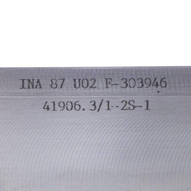 INA Rollenumlaufeinheit F-303946 (41906.3/2-2S-1)