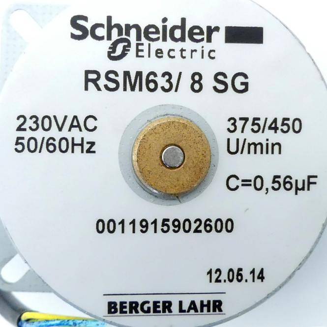 Schneider Electric Synchronmotor 230V RSM63/8SG (0011915902600)