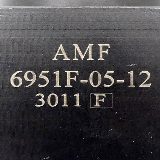 AMF Schwenkspanner (6951F-05-12)