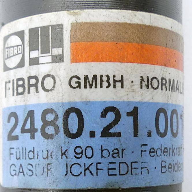 FIBRO Gasdruckfeder (2480.21.00100.050)