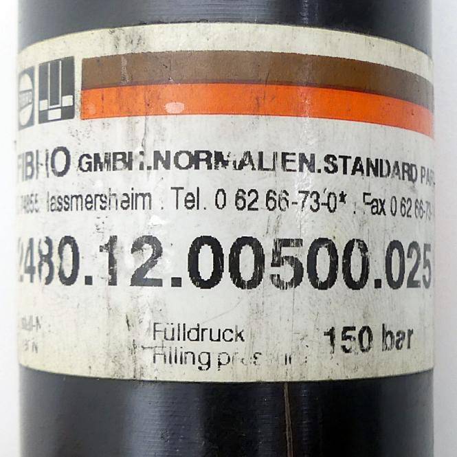 FIBRO Gasdruckfeder (2480.12.00500.025)