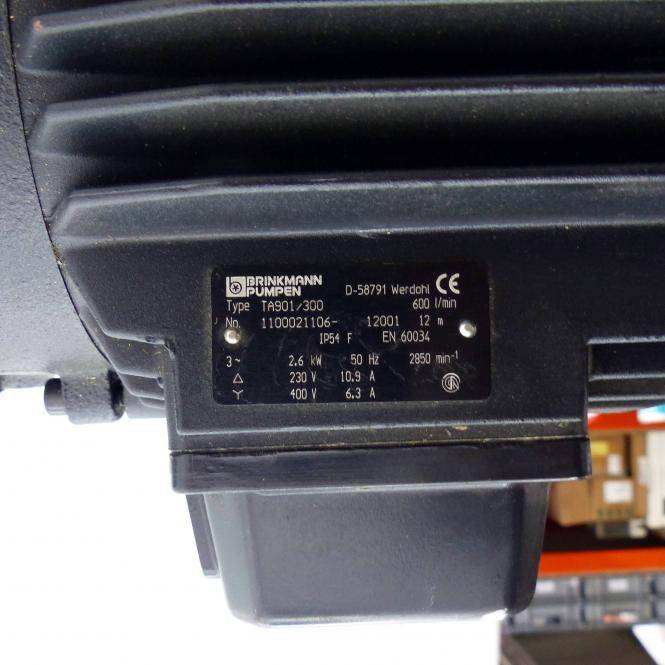 BRINKMANN PUMPS Tauchpumpe 4078 001 (TA901/300)