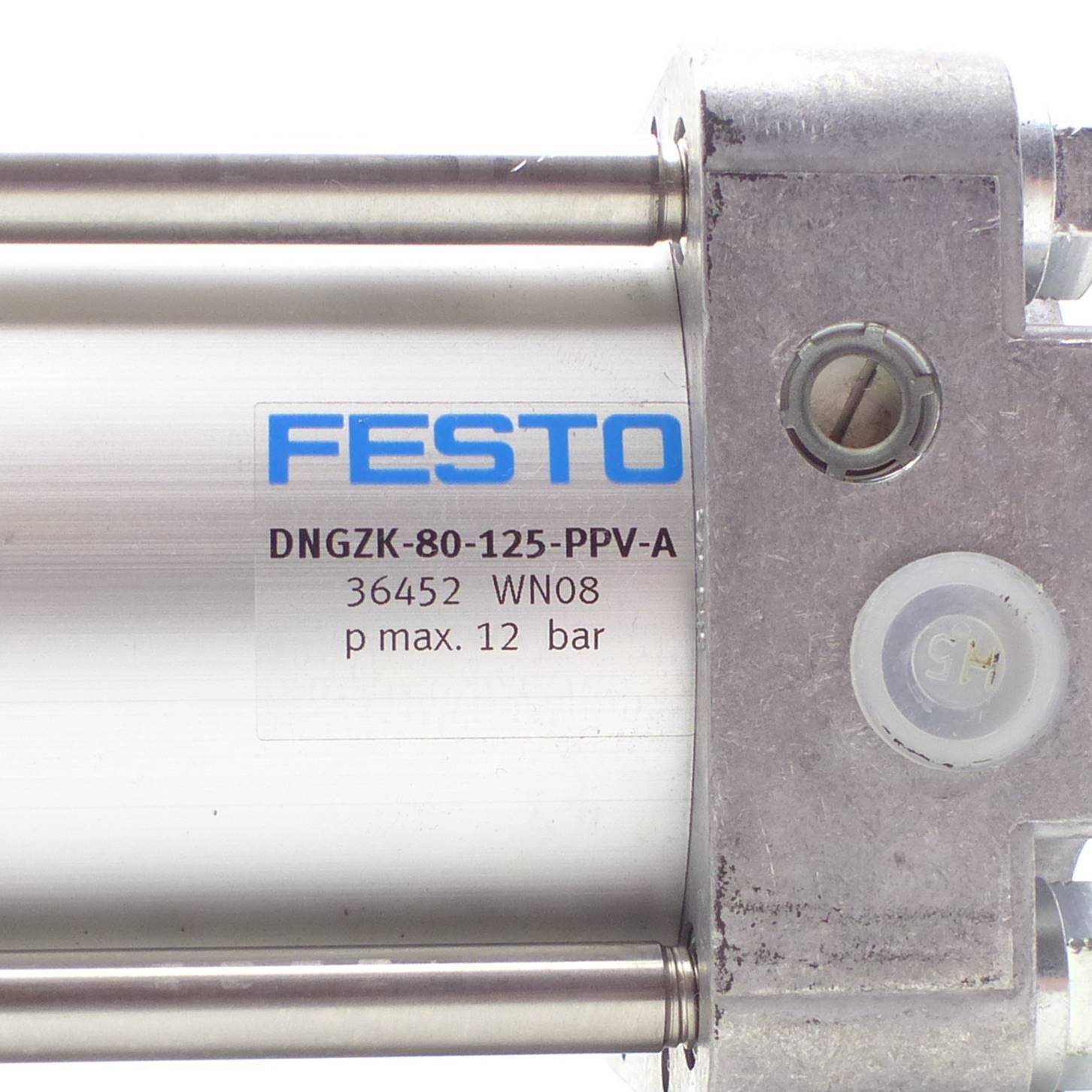 FESTO Normzylinder DNGZK-80-125-PPV-A (36452)