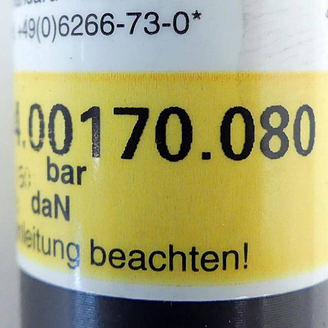 FIBRO Gasdruckfeder (2479.034.00170.080)