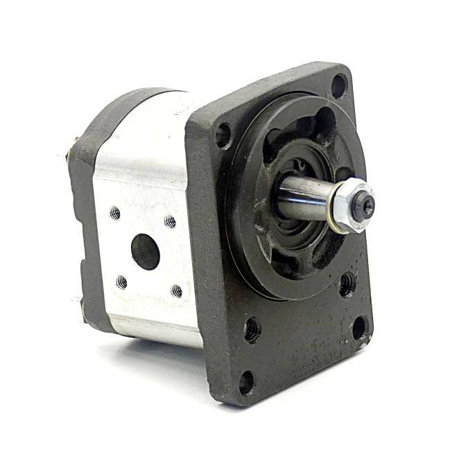 BOSCH Zahnradpumpe (0510 325 006)