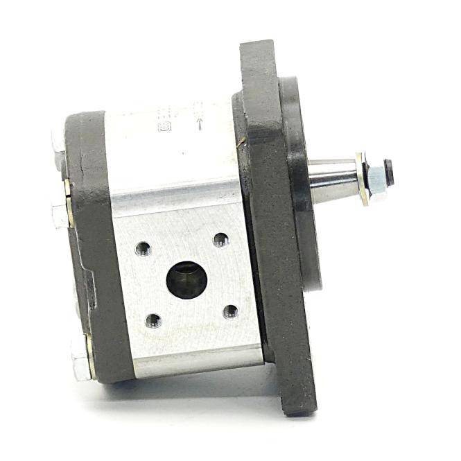 BOSCH Zahnradpumpe (0510 325 006)