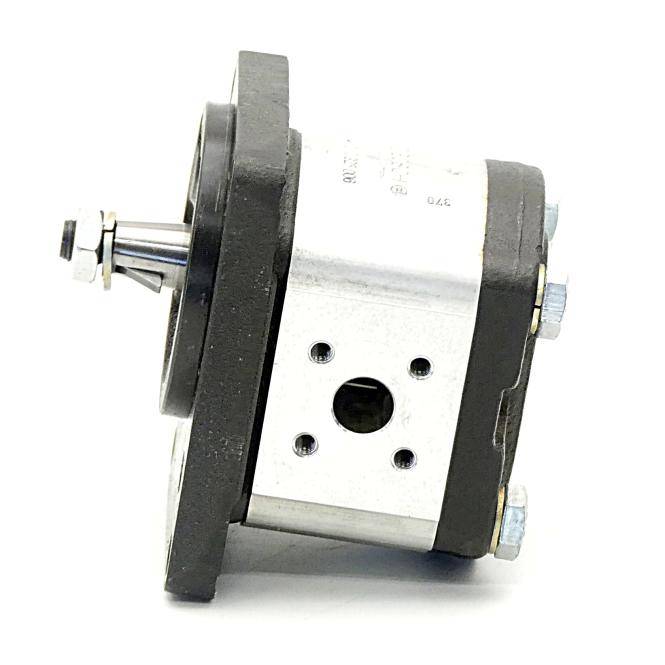 BOSCH Zahnradpumpe (0510 325 006)