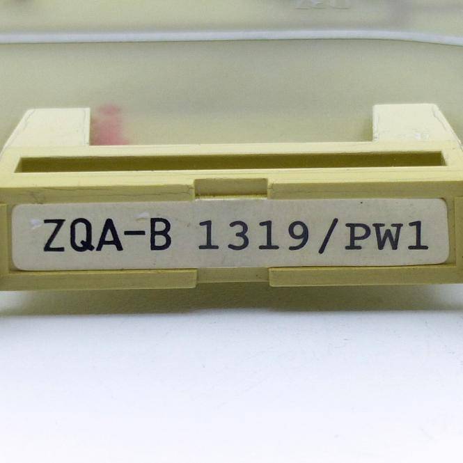 BOSCH Leiterplatte (ZQA-B1319/PW1)