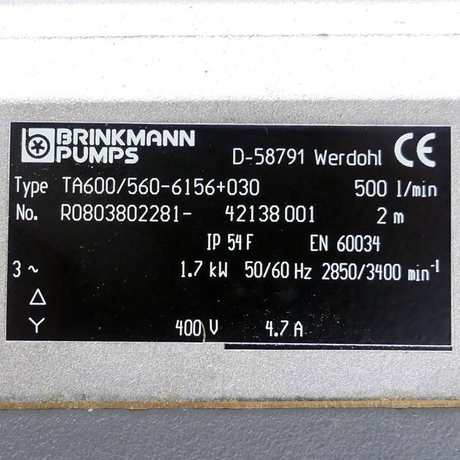 BRINKMANN PUMPS Tauchpumpe (TA600/560-6156+030)