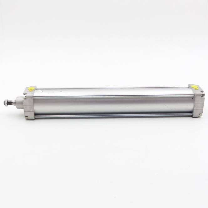 BOSCH Kompaktzylinder 100 x 600 (0 822 245 432)