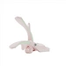 BEAUTIFLY Lashes-Up Elektr. Augenbrauen Zupfer BEAUTIFLY Lashes-Up Elektr. Augenbrauen Zupfer