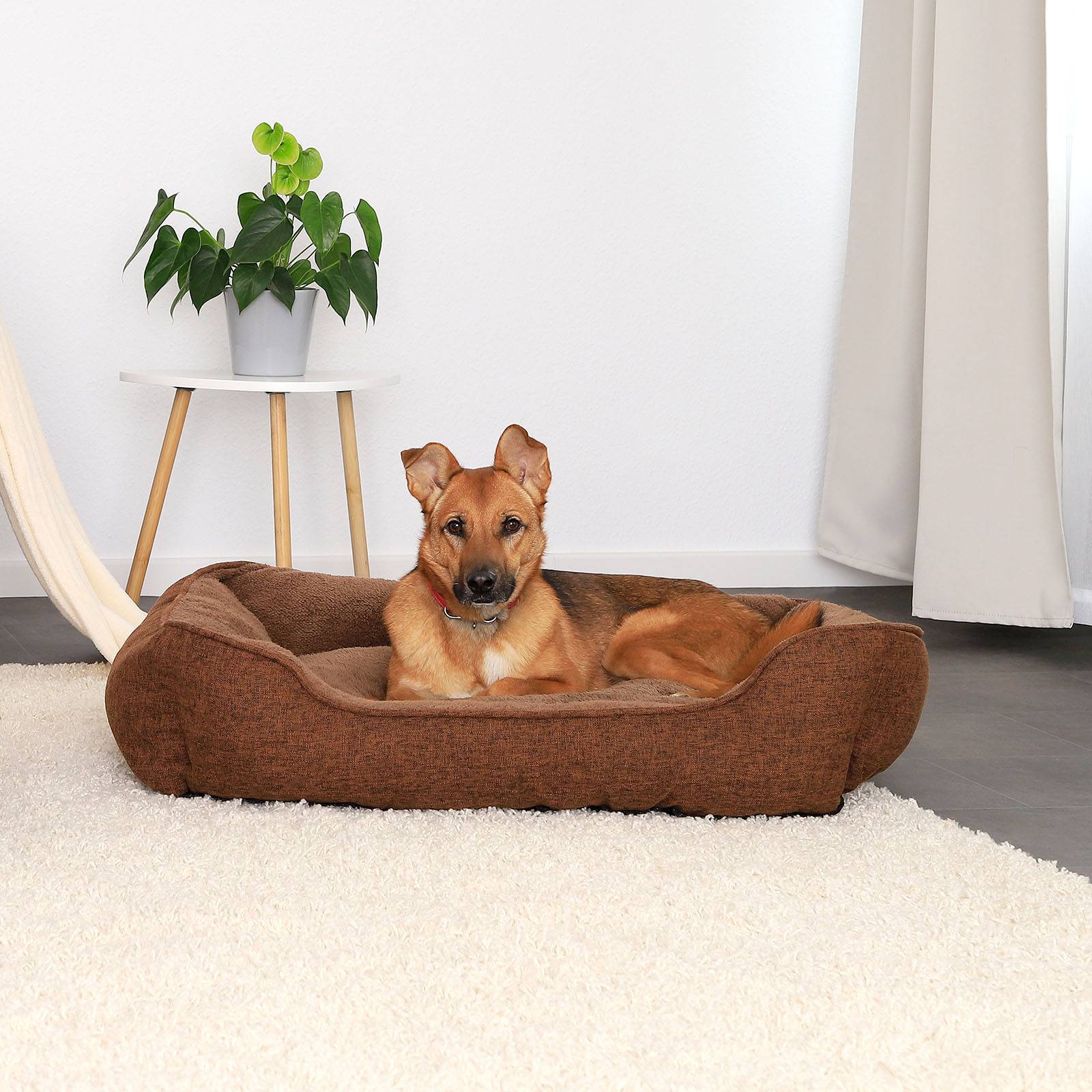 lionto Hundebett mit abnehmbarem Bezug, 90x75 cm, braun