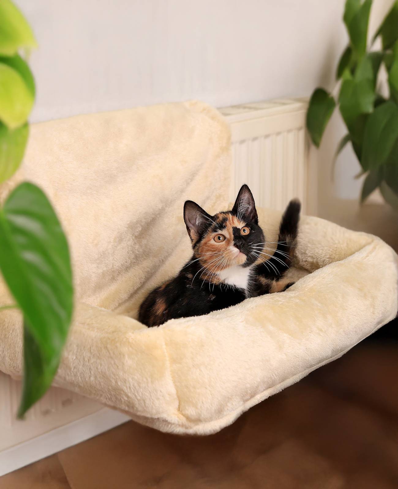 lionto Katzen Heizkörperliege, weiche Kuschelliege mit Metallhaken, waschbarem Bezug & sicherem Halt, beige