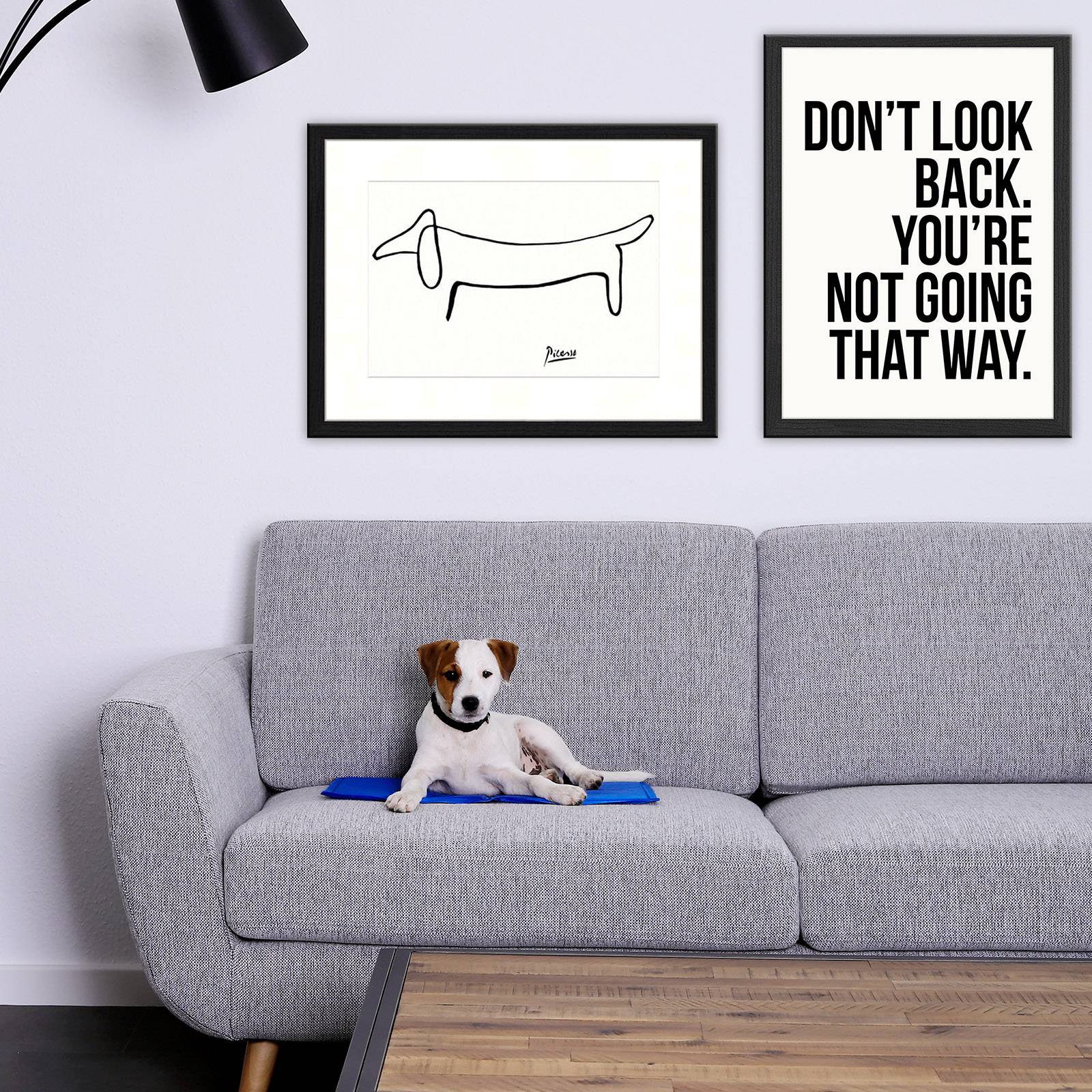 lionto Kühlmatte, angenehme Abkühlung für Hunde & Katzen, selbstkühlend & sicher, ideal für Sommer & Reisen, 100x60 cm, blau