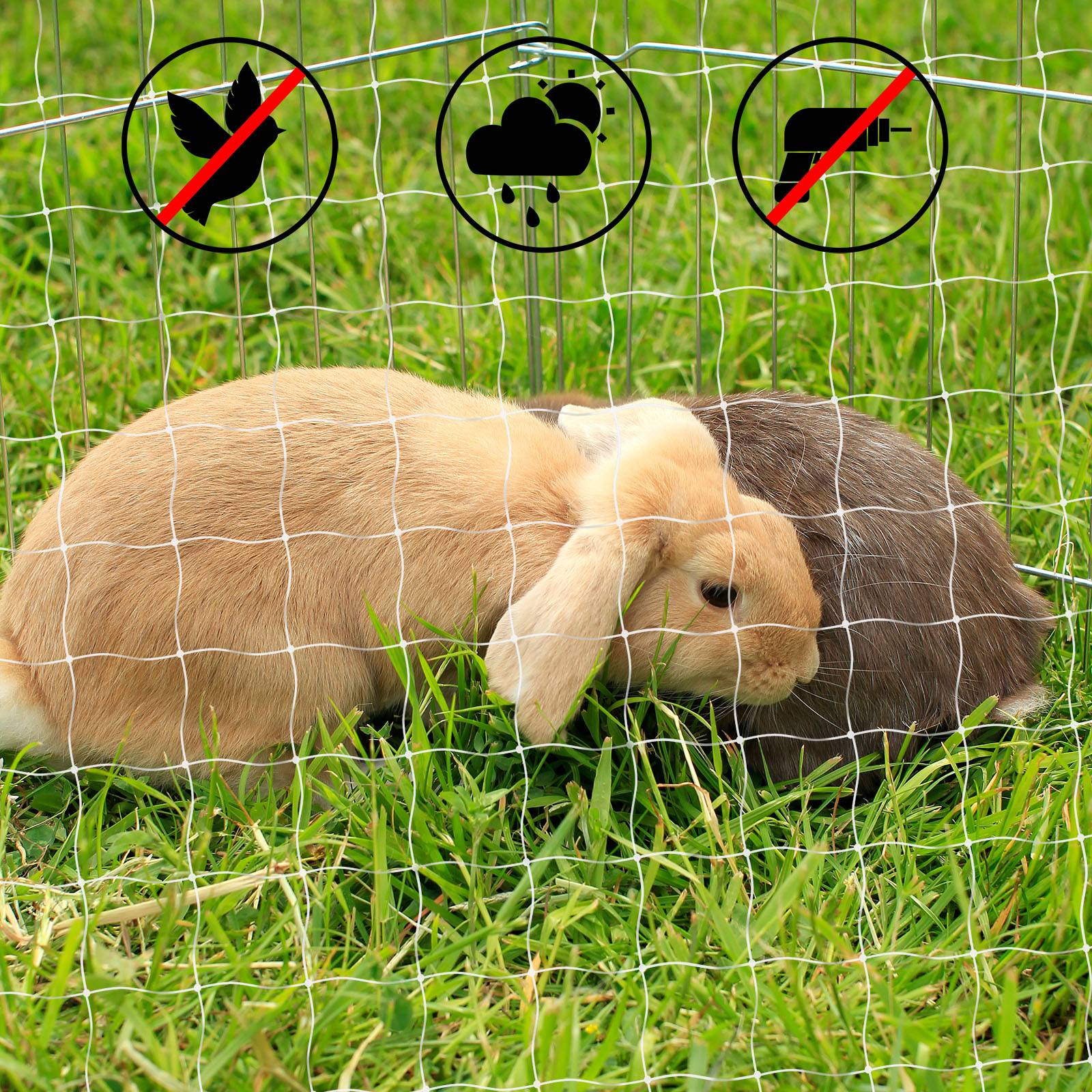 lionto Katzenschutznetz, reißfestes & UV-beständiges Schutznetz für Balkon, Fenster & Terrasse, inkl. Befestigungsset, 3x4 m