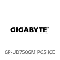Gigabyte UD750GM PG5 V2 ICE - Netzteil (intern)
