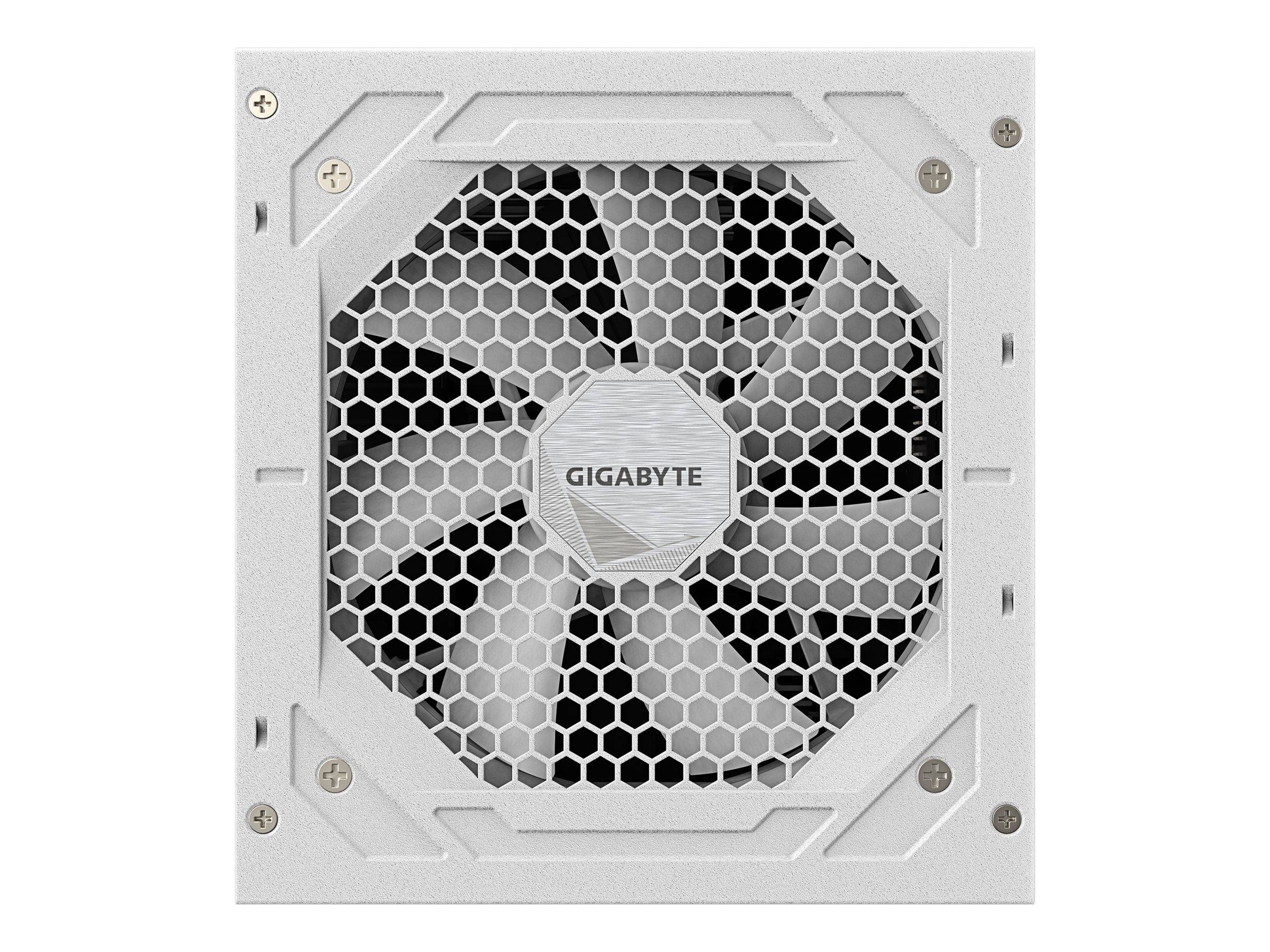 Gigabyte UD750GM PG5 V2 ICE - Netzteil (intern)