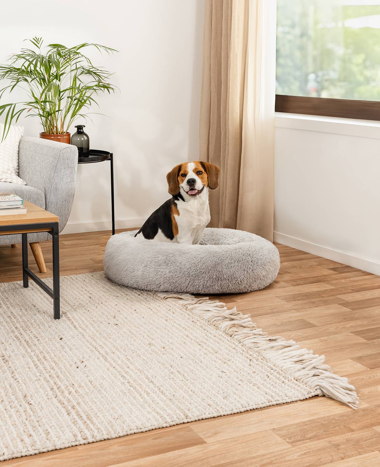 lionto Hundebett aus Plüsch in Donut-Form, 80 cm Durchmesser, hellgrau