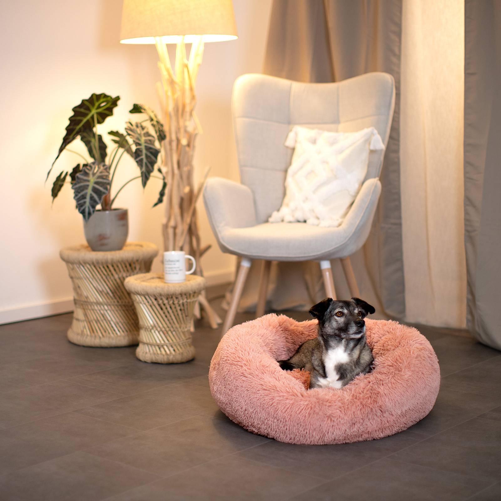 lionto Hundebett aus Plüsch in Donut-Form, 60 cm Durchmesser, rosa