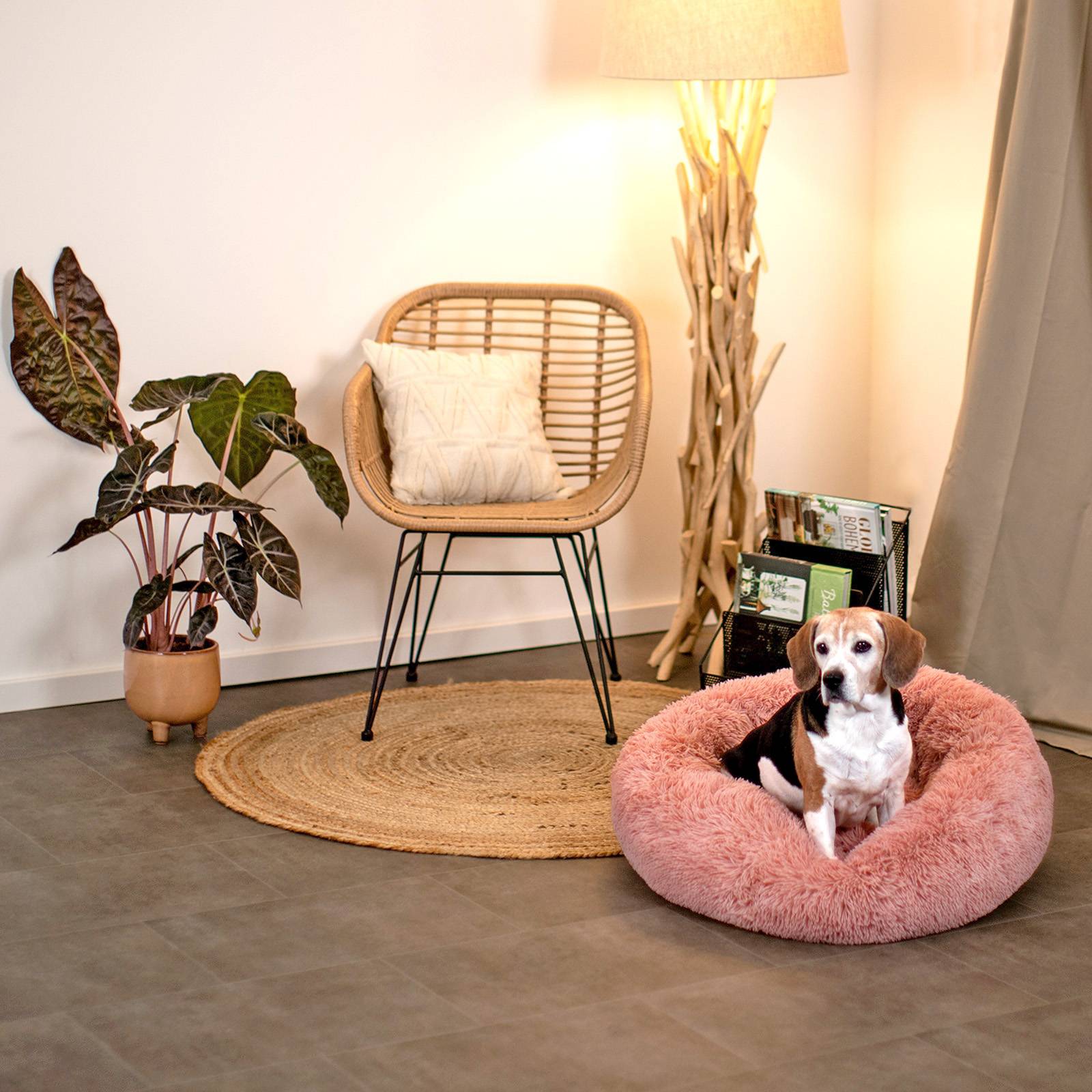 lionto Hundebett aus Plüsch in Donut-Form, 70 cm Durchmesser, rosa