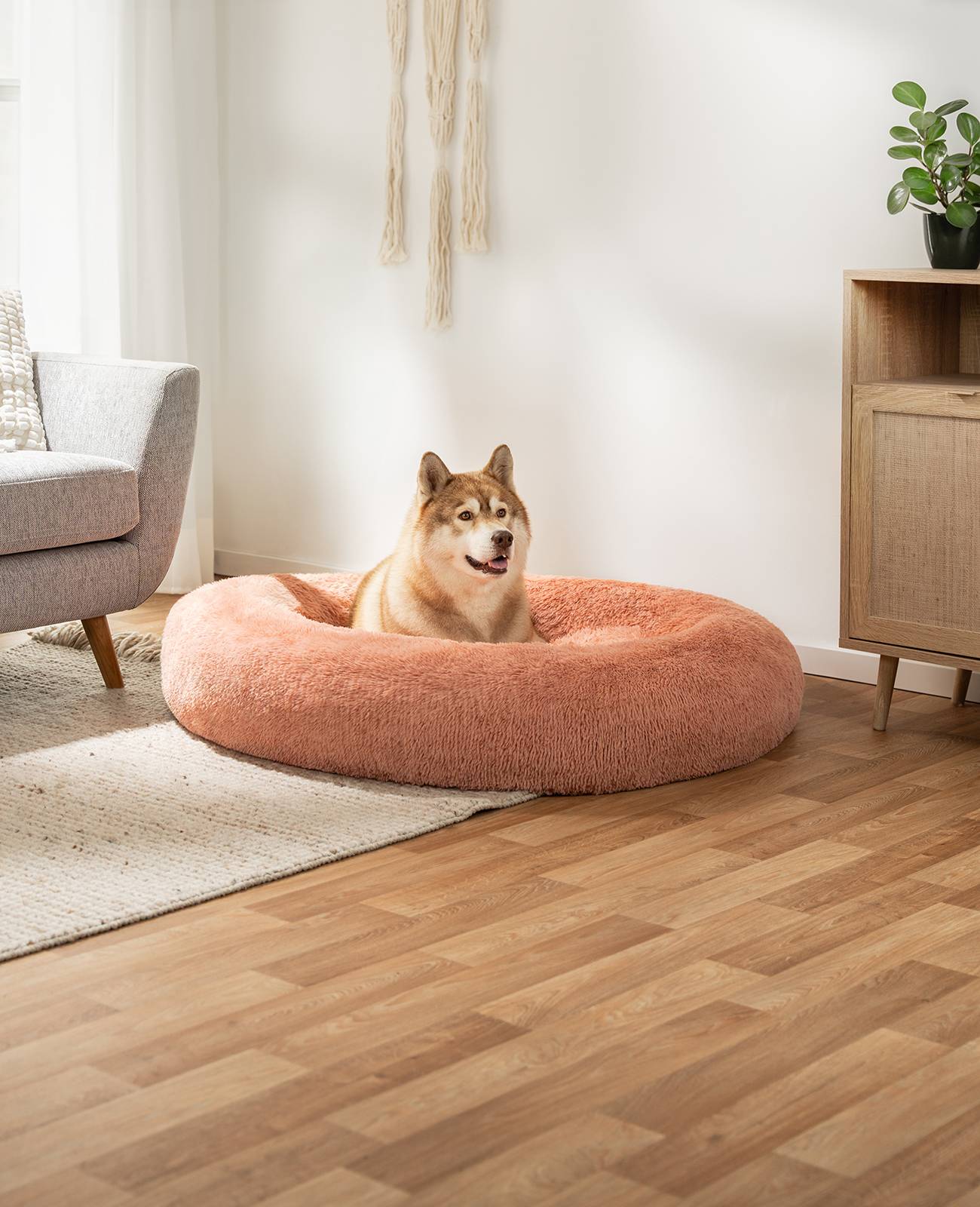 lionto Hundebett aus Plüsch in Donut-Form, 120 cm Durchmesser, rosa