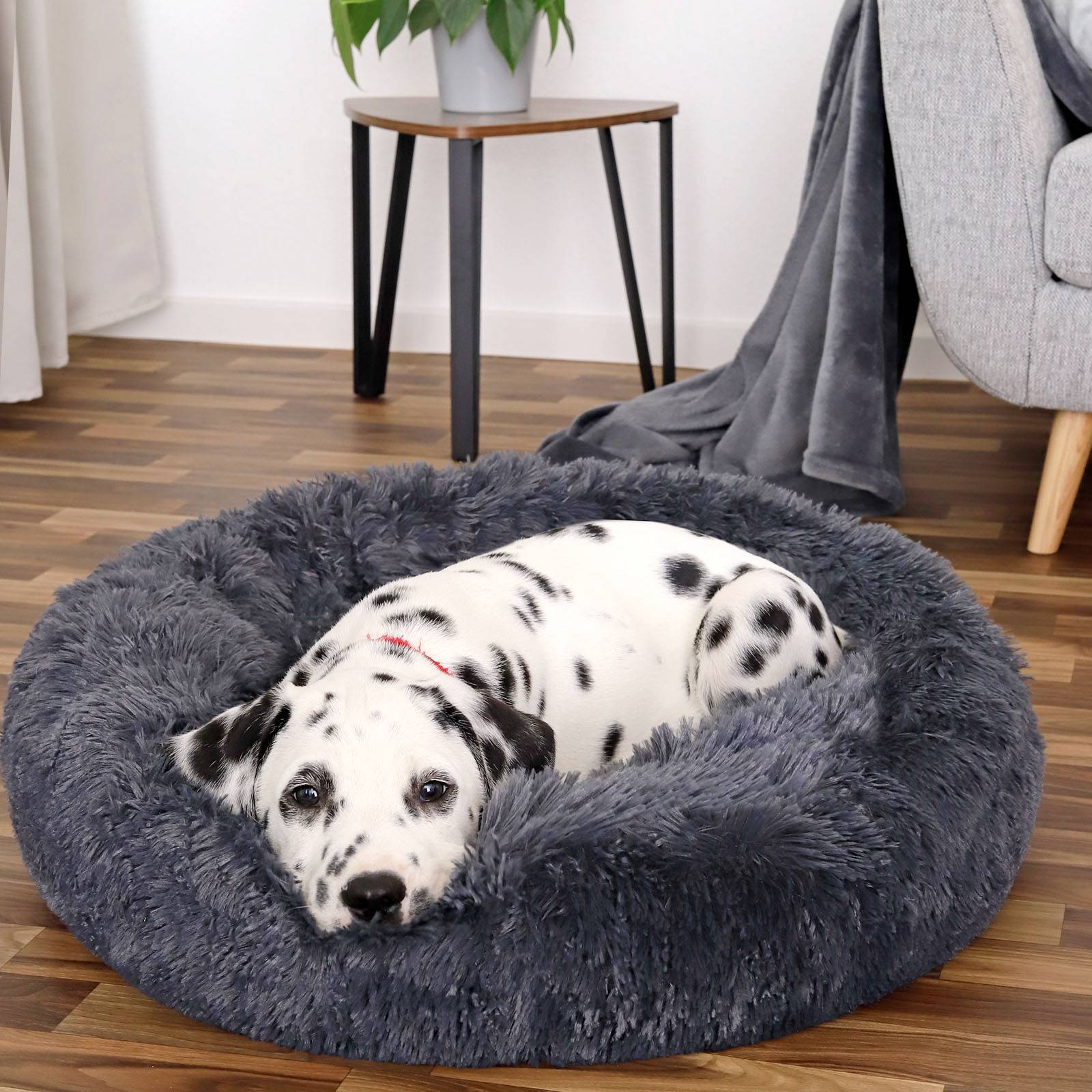 lionto Hundebett aus Plüsch in Donut-Form, 60 cm Durchmesser, dunkelgrau