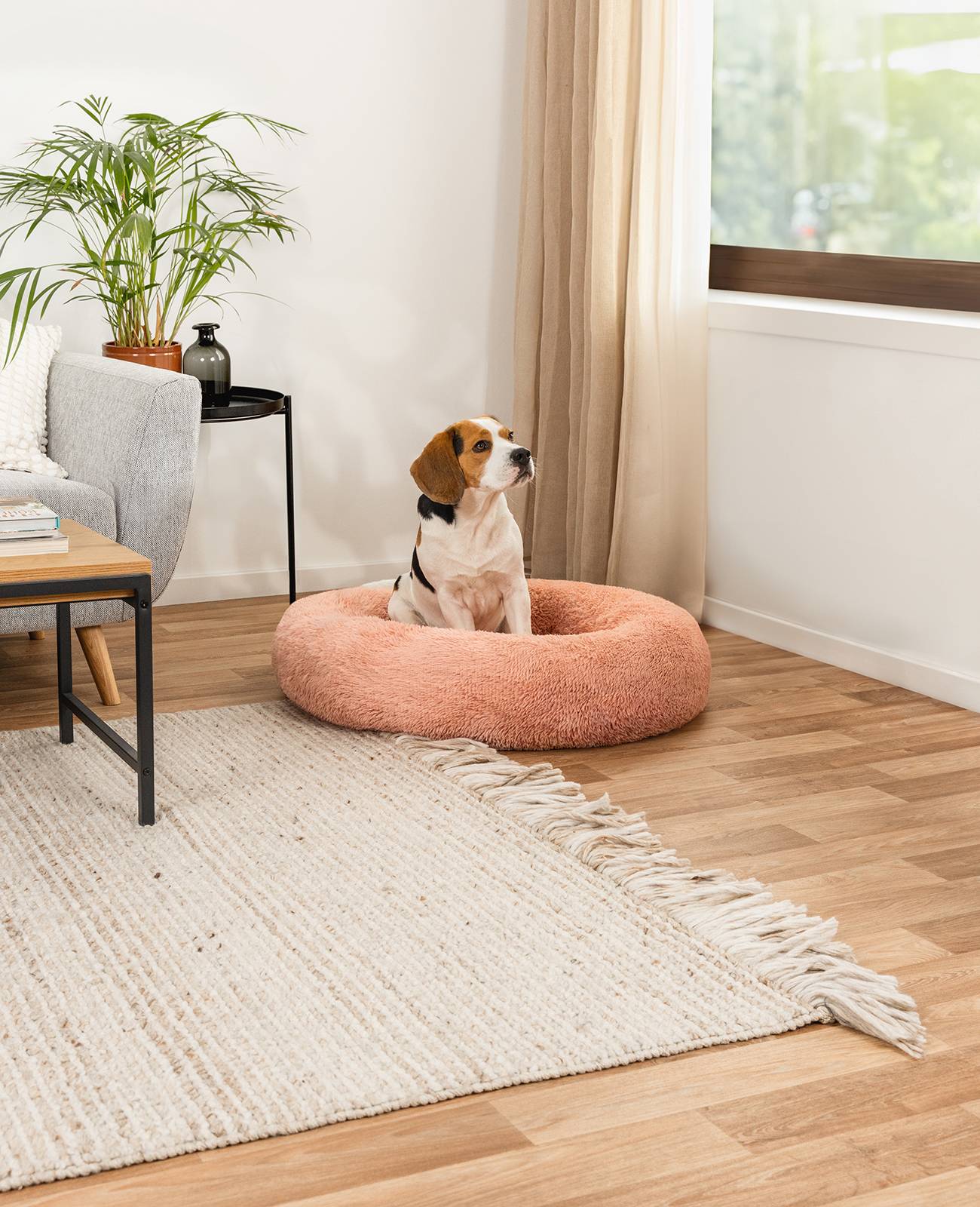 lionto Hundebett aus Plüsch in Donut-Form, 80 cm Durchmesser, rosa