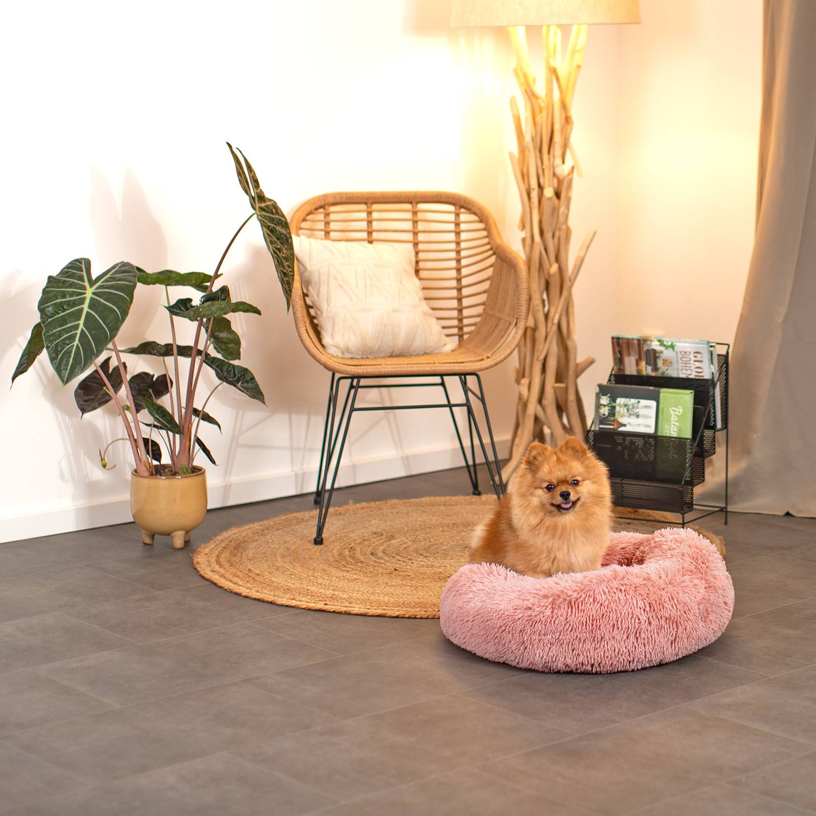 lionto Hundebett aus Plüsch in Donut-Form, 50 cm Durchmesser, rosa