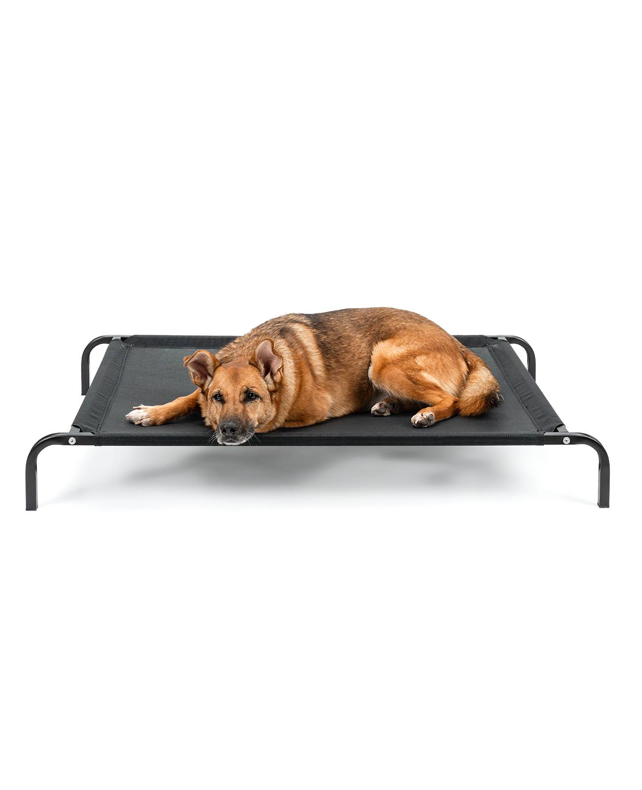 lionto Hundeliege, bequemes Outdoor Hundebett mit Netzgewebe, erhöht, luftig & wetterfest, 114x76 cm, schwarz