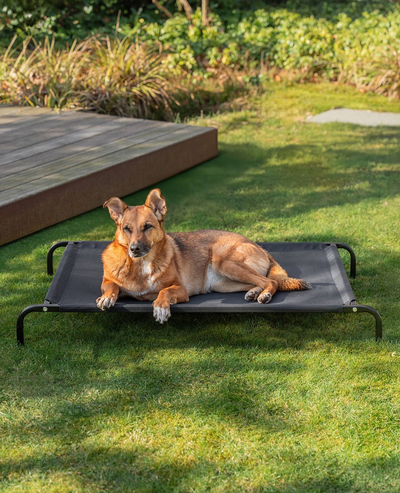 lionto Hundeliege, bequemes Outdoor Hundebett mit Netzgewebe, erhöht, luftig & wetterfest, 114x76 cm, schwarz