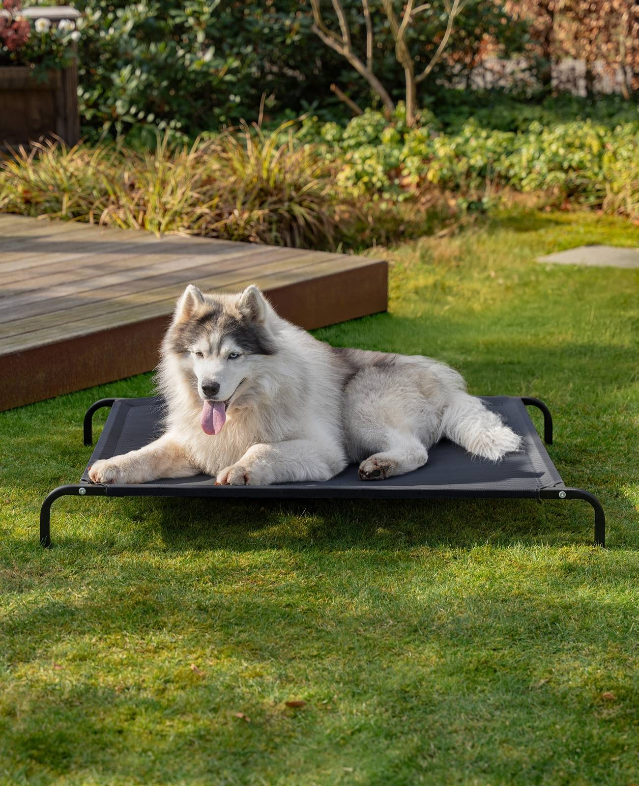 lionto Hundeliege, bequemes Outdoor Hundebett mit Netzgewebe, erhöht, luftig & wetterfest, 117x85 cm, schwarz