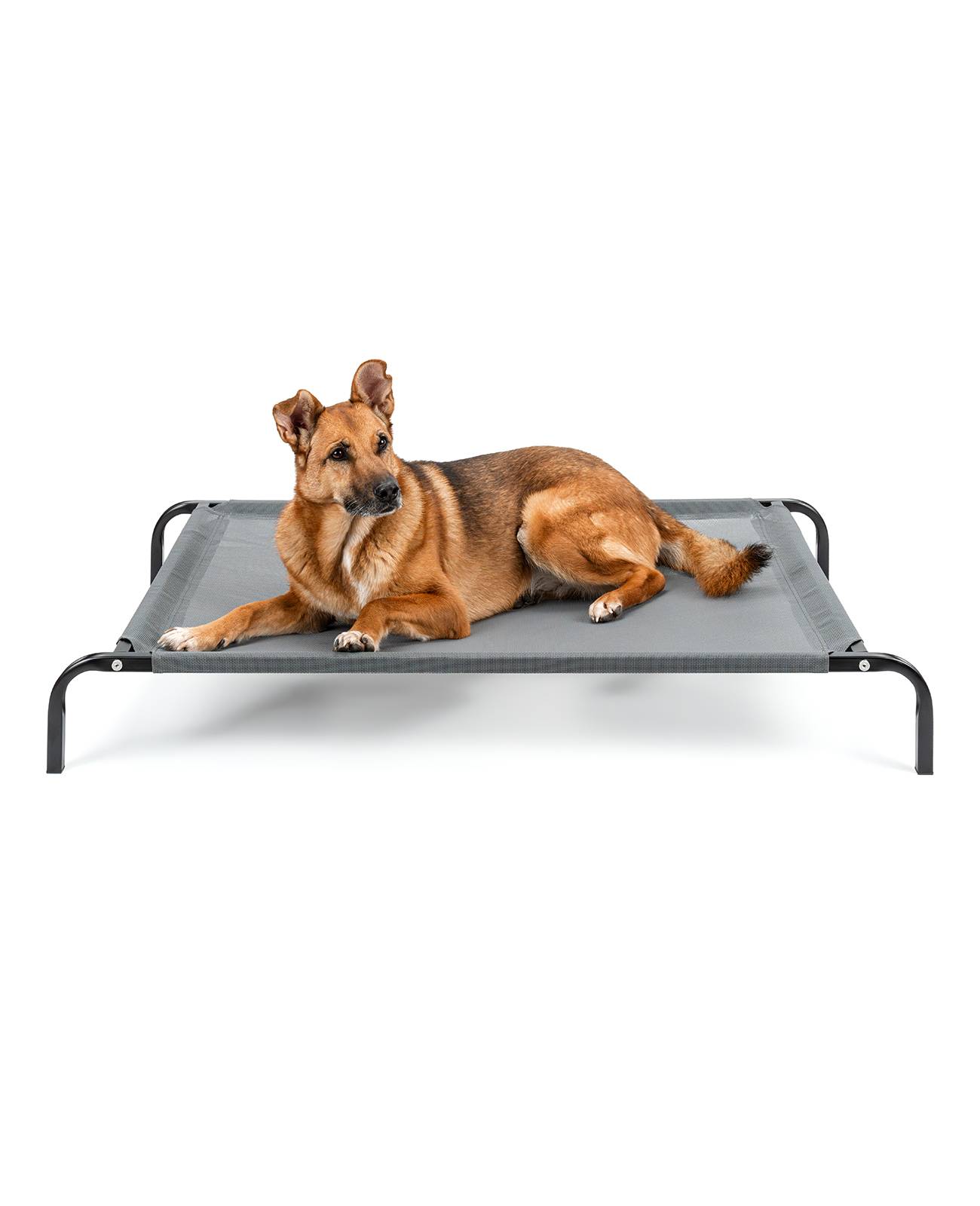 lionto Hundeliege, bequemes Outdoor Hundebett mit Netzgewebe, erhöht, luftig & wetterfest, 114x76 cm, grau