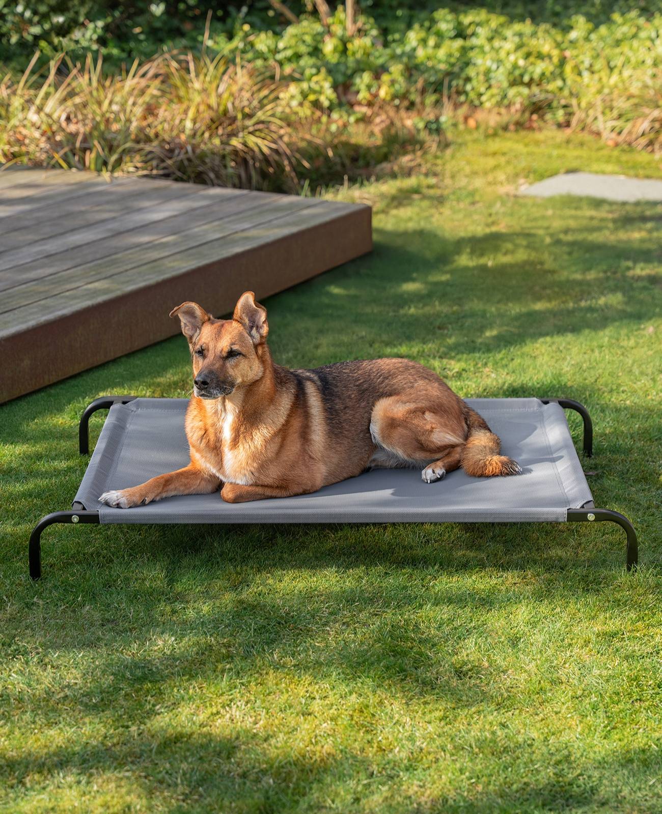 lionto Hundeliege, bequemes Outdoor Hundebett mit Netzgewebe, erhöht, luftig & wetterfest, 114x76 cm, grau