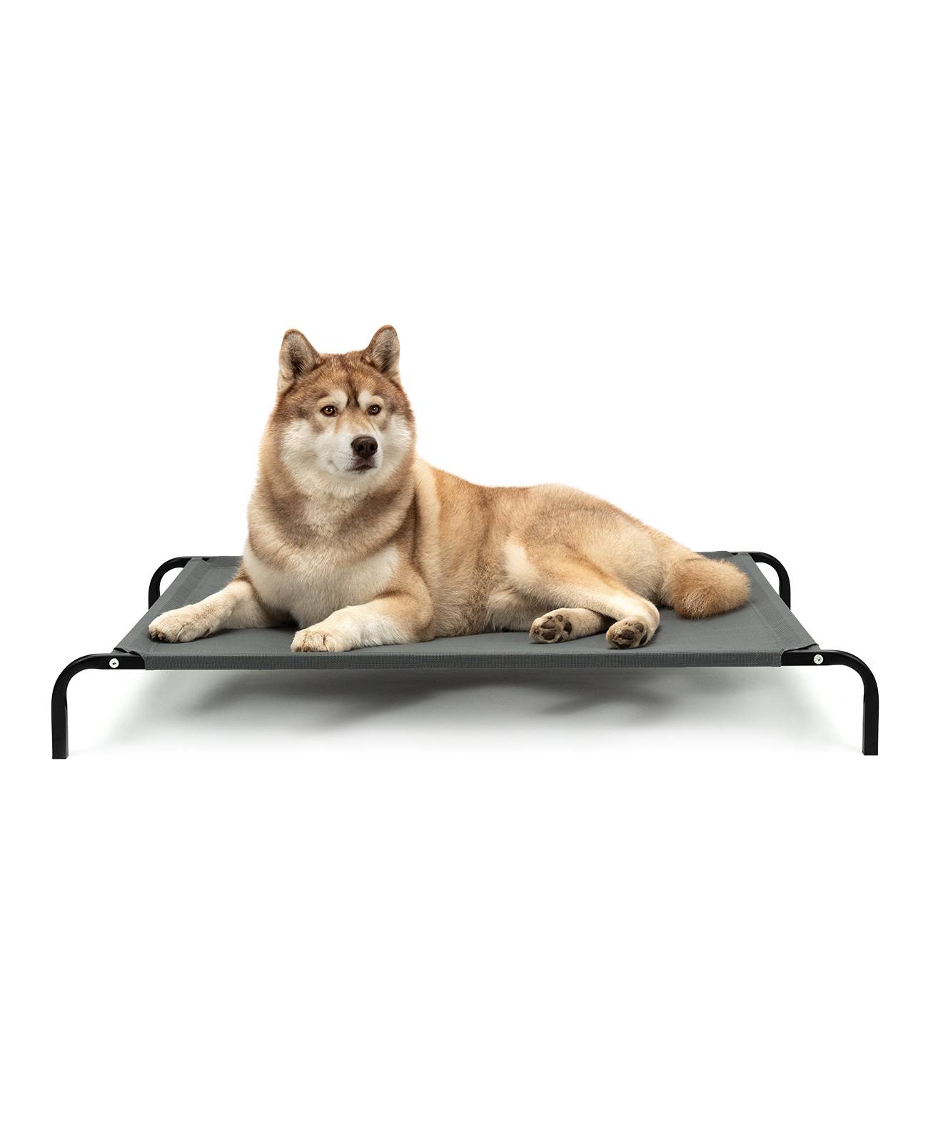 lionto Hundeliege, bequemes Outdoor Hundebett mit Netzgewebe, erhöht, luftig & wetterfest, 117x85 cm, grau