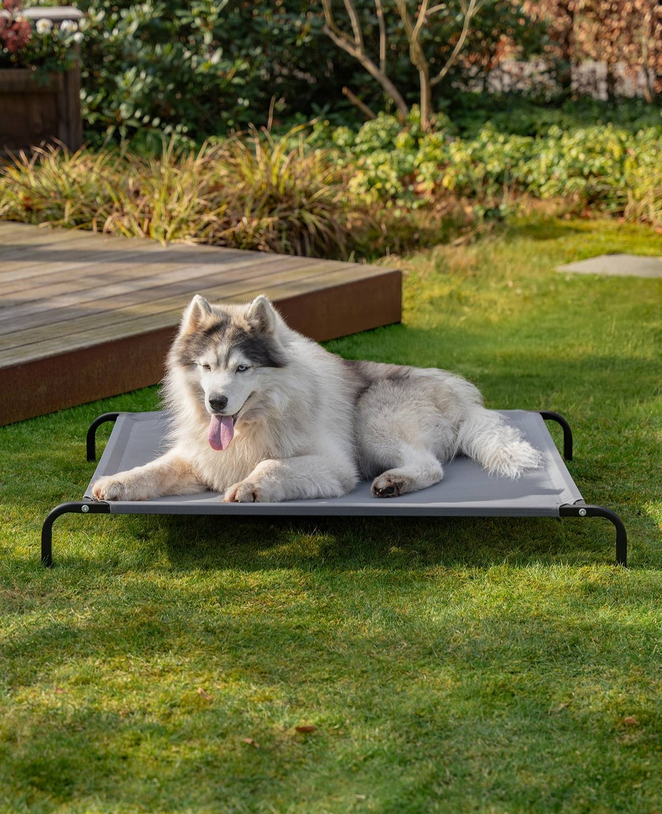 lionto Hundeliege, bequemes Outdoor Hundebett mit Netzgewebe, erhöht, luftig & wetterfest, 117x85 cm, grau